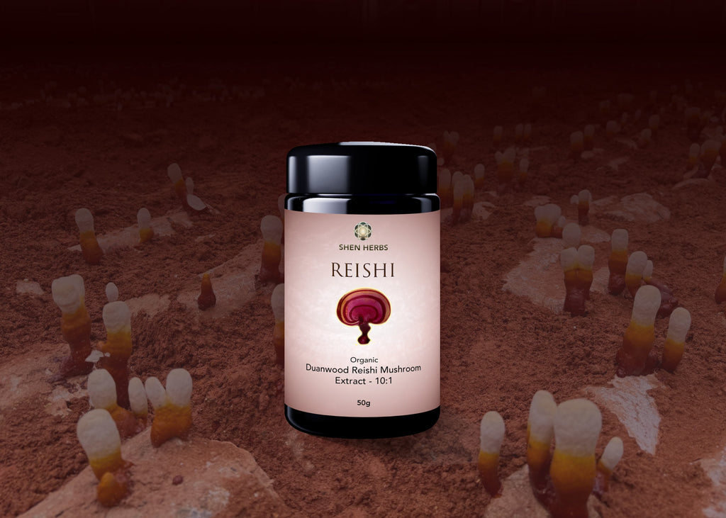 Organic Duanwood Reishi Mushroom Extract Powder 10:1 - 100g