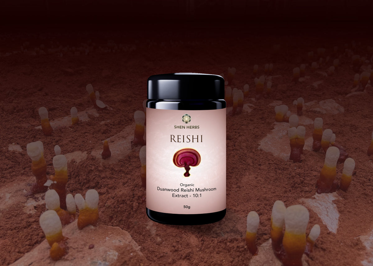 Organic Duanwood Reishi Mushroom Extract Powder 10:1 - 100g